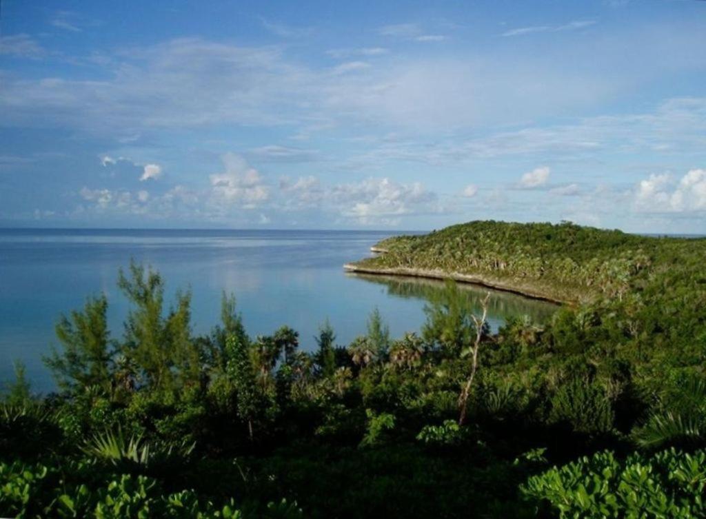 Beside The Pointe Cottage Savannah Sound Exteriör bild