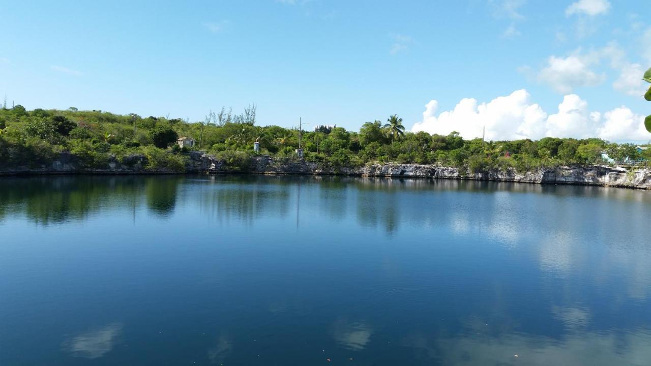 Beside The Pointe Cottage Savannah Sound Exteriör bild